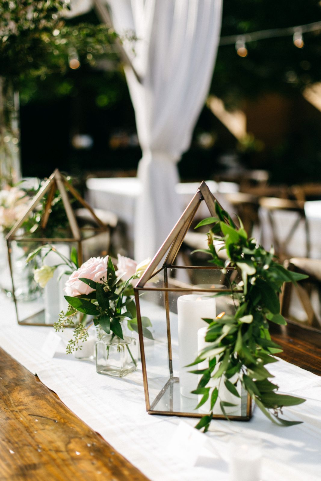 tiger lily thomas bennett