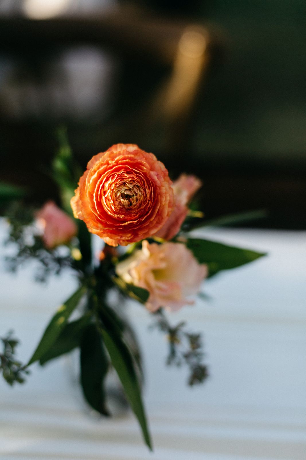 tiger lily thomas bennett