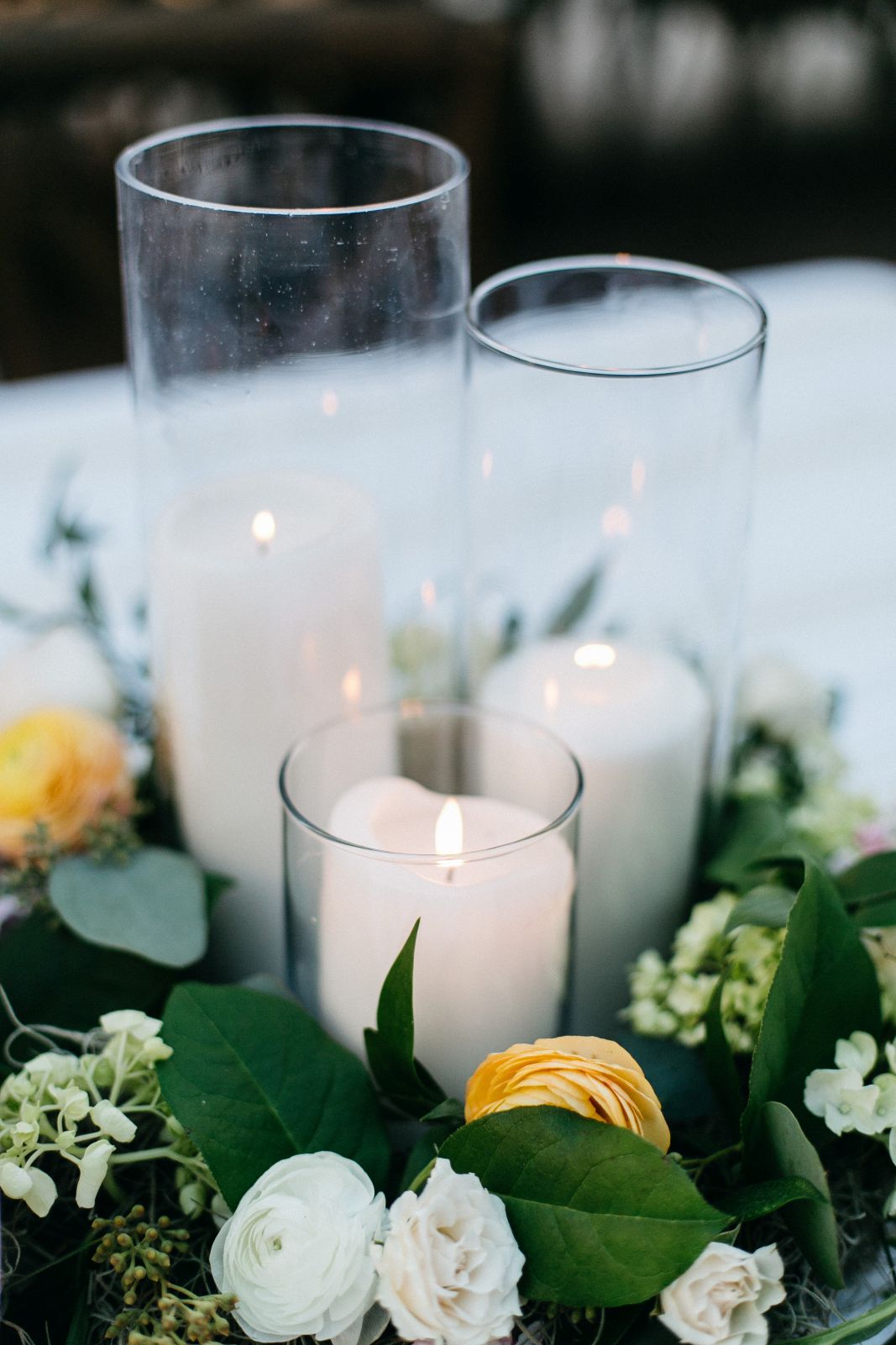 tiger lily thomas bennett