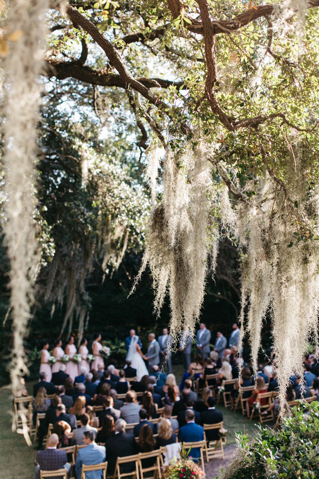 tiger lily thomas bennett