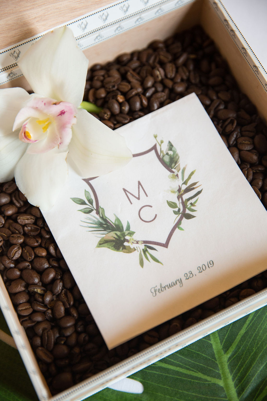 tiger lily francis marion