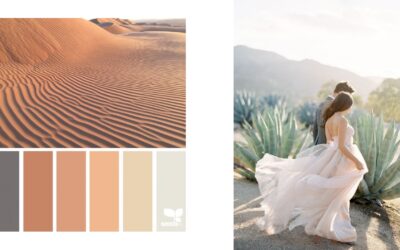 Desert Tones