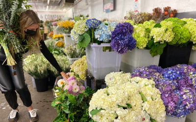 Flower Shortages 2022