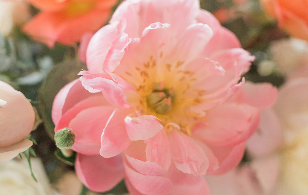 2023 Floral Wedding Trends