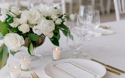 Lowndes Grove ~ Classic White