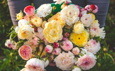 Garden Rose vs Ranunculus, do you know the difference?