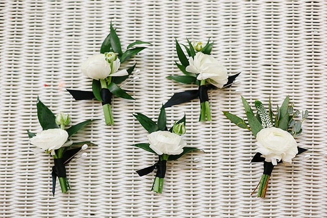 tiger lily admirals house